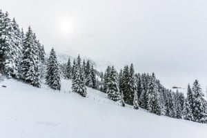 Leise rieselt der Schnee