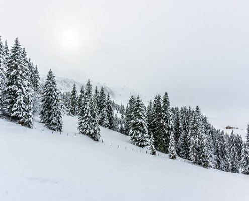 Leise rieselt der Schnee