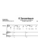 "O Tannenbaum" für mittlere Stimme (Klavierbegleitung Level 2/10) | inkl. Aufnahme, Text und Begleitaufnahme by music-step-by-step