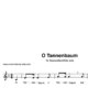 "O Tannenbaum" für Sopranblockflöte solo | inkl. Aufnahme und Text by music-step-by-step