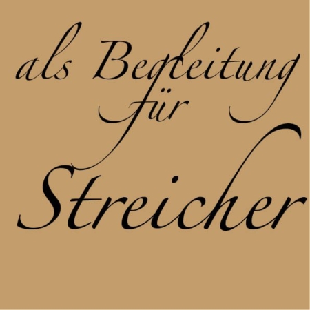 6. Klavier als Begleitinstrument für Streicher