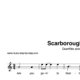 "Scarborough Fair" für Querflöte solo | inkl. Aufnahme und Text music-step-by-step