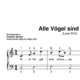 "Alle Vögel sind schon da" für Klavier (Level 3/10) | inkl. Aufnahme und Text by music-step-by-step