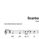 “Scarborough Fair” für Klarinette in B solo | inkl. Aufnahme und Text by music-step-by-step