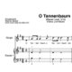 "O Tannenbaum" für Geige (Klavierbegleitung Level 3/10) | inkl. Aufnahme, Text und Playalong by music-step-by-step