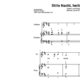 “Stille Nacht, heilige Nacht” für Geige (Klavierbegleitung Level 4/10) | inkl. Aufnahme, Text und Playalong by music-step-by-step
