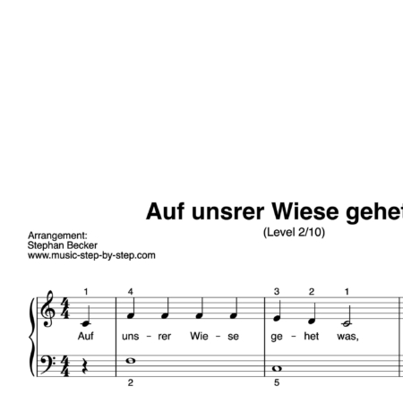 “Auf unsrer Wiese gehet was” für Klavier (Level 2/10) | inkl. Aufnahme und Text by music-step-by-step