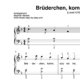 “Brüderchen, komm tanz mit mir” für Klavier (Level 4/10) | inkl. Aufnahme und Text by music-step-by-step