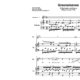 “Greensleeves” für Klarinette in B (Klavierbegleitung Level 7/10) | inkl. Aufnahme, Text und Begleitaufnahme by music-step-by-step