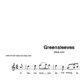 “Greensleeves” für Oboe solo | inkl. Aufnahme und Text by music-step-by-step