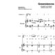 “Greensleeves” für Trompete in B (Klavierbegleitung Level 4/10) | inkl. Aufnahme, Text und Begleitaufnahme by music-step-by-step