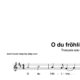 “O du fröhliche” für Trompete in B solo | inkl. Aufnahme und Text by music-step-by-step