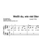 “Weißt du wieviel Sternlein stehen” für Klavier (Level 1/10) | inkl. Aufnahme und Text by music-step-by-step