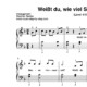 “Weißt du wieviel Sternlein stehen” für Klavier (Level 4/10) | inkl. Aufnahme und Text by music-step-by-step