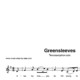 “Greensleeves” für Tenorsaxophon solo | inkl. Aufnahme und Text by music-step-by-step