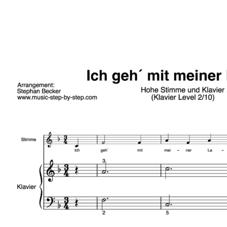 “Ich geh´mit meiner Laterne” für Gesang, hohe Stimme (Klavierbegleitung Level 2/10) | inkl. Aufnahme, Text und Begleitaufnahme by music-step-by-step