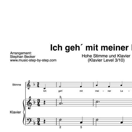 “Ich geh´mit meiner Laterne” für Gesang, hohe Stimme (Klavierbegleitung Level 3/10) | inkl. Aufnahme, Text und Begleitaufnahme by music-step-by-step