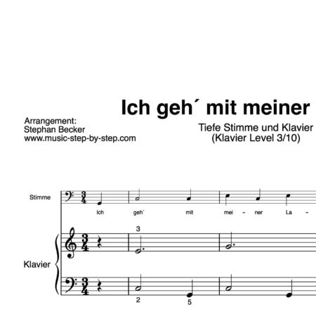 “Ich geh´mit meiner Laterne” für Gesang, tiefe Stimme (Klavierbegleitung Level 3/10) | inkl. Aufnahme, Text und Begleitaufnahme by music-step-by-step
