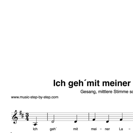 “Ich geh´mit meiner Laterne” für Gesang, mittlere Stimme solo | inkl. Aufnahme und Text by music-step-by-step