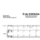 “O du fröhliche” für Cello (Klavierbegleitung Level 3/10) | inkl. Aufnahme, Text und Begleitaufnahme by music-step-by-step